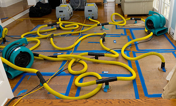 Professional Sewage Cleanup technician working in Exeter, ME